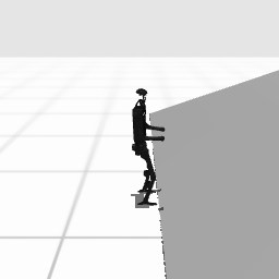 H1 Slide Visualization